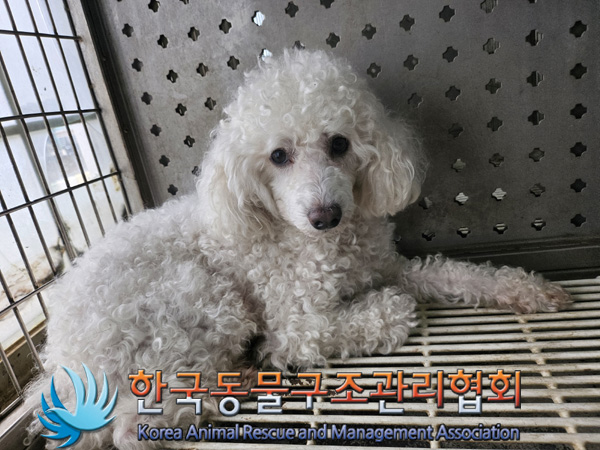 한국동물구조관리협회_411303202400501